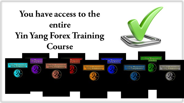 yin yang forex training program trading mastermind