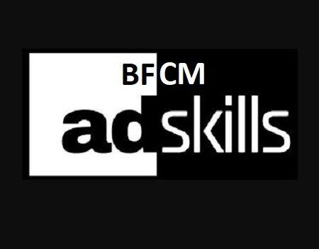 Ad Skills PRO BFCM Deal