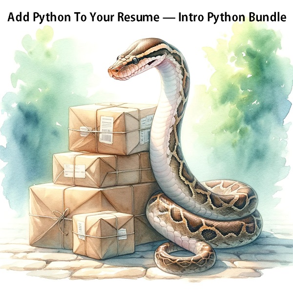 add-python-to-your-resume-intro-python-bundle