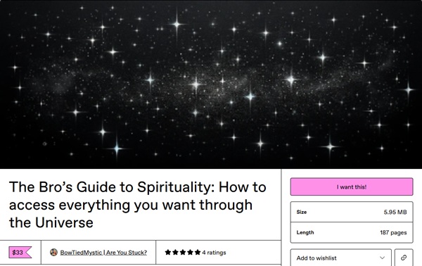the-bros-guide-to-spirituality-how-to-access-everything-you-want-through-the-universe